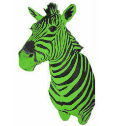 green and zebra